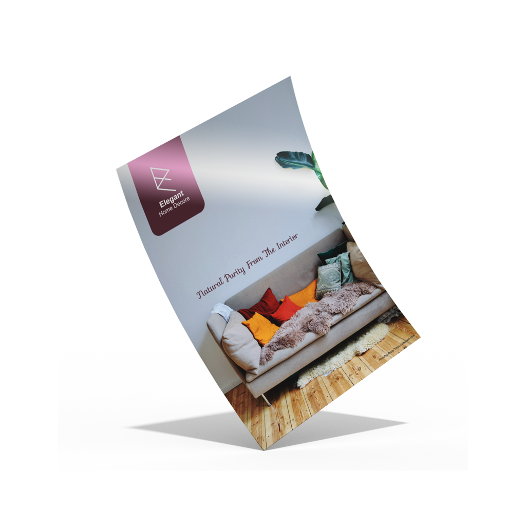 Economy Brochures