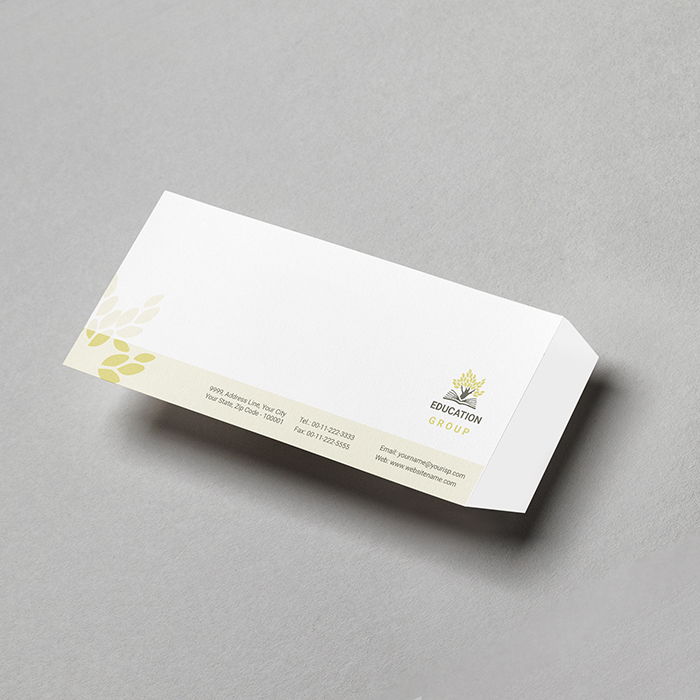 Silver Foil Envelope